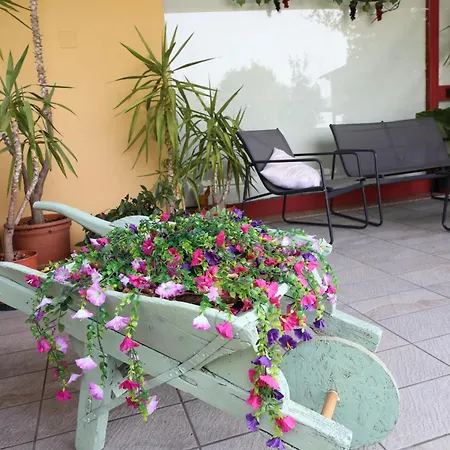 L'uva Fragolina