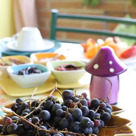 فندق مبيت وإفطار L'uva Fragolina