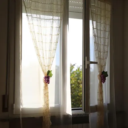 L'uva Fragolina *