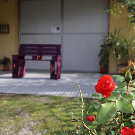 L'uva Fragolina فندق مبيت وإفطار Case la Selva