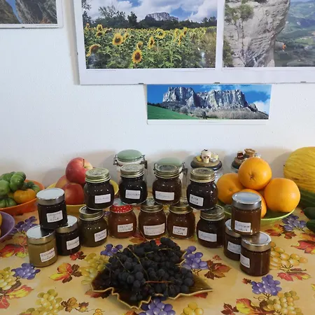 L'uva Fragolina *
