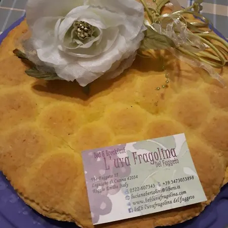 L'uva Fragolina Case la Selva