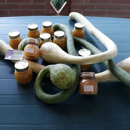 L'uva Fragolina Bed & Breakfast