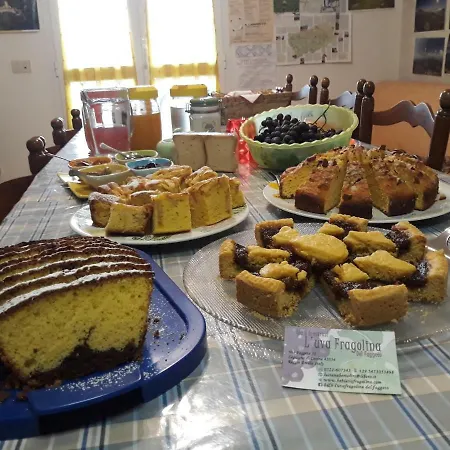 Bed & Breakfast L'uva Fragolina Case la Selva