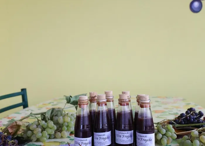 L'uva Fragolina
