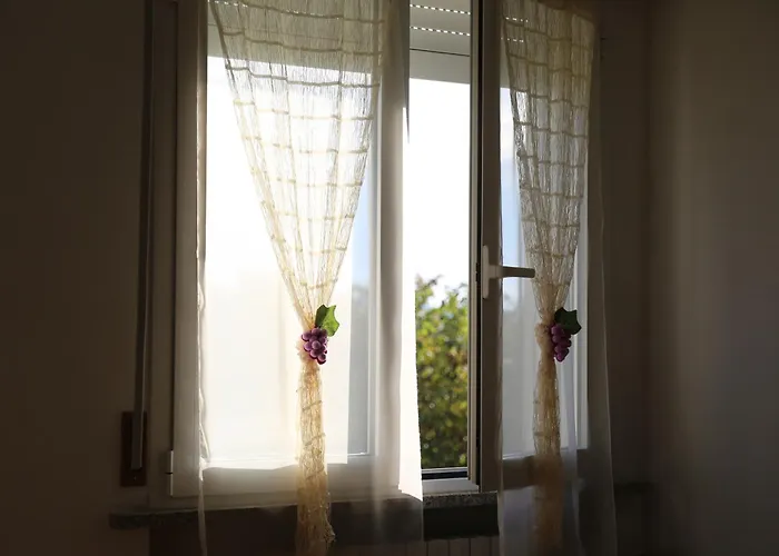 L'uva Fragolina *
