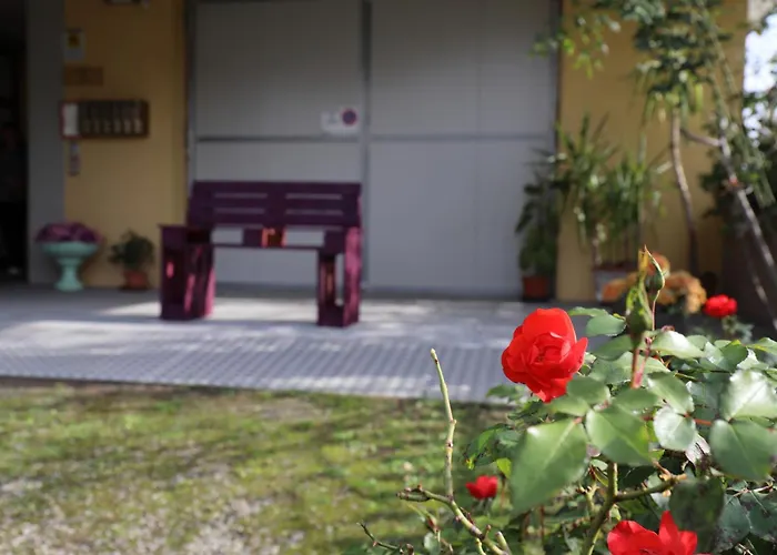 L'uva Fragolina Nocleg ze śniadaniem Case la Selva