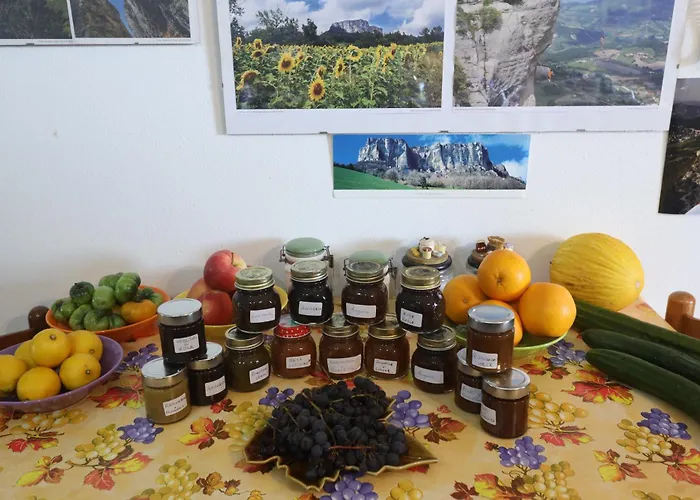L'uva Fragolina *