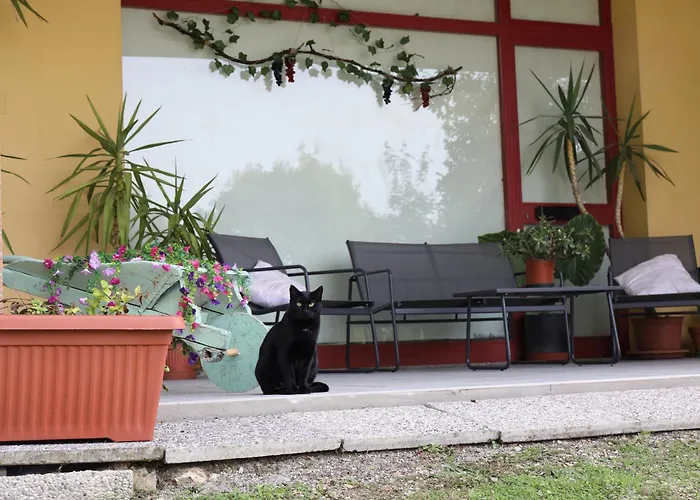 L'uva Fragolina Nocleg ze śniadaniem